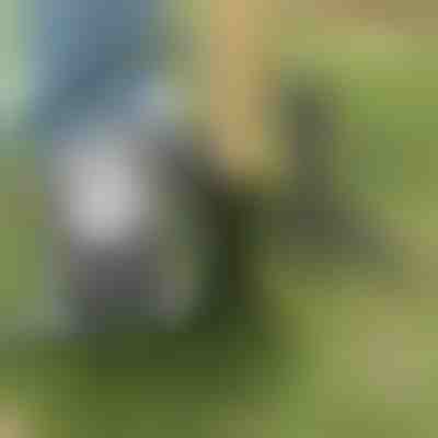 Инструмент за премахване на плевели | ROOTNIK