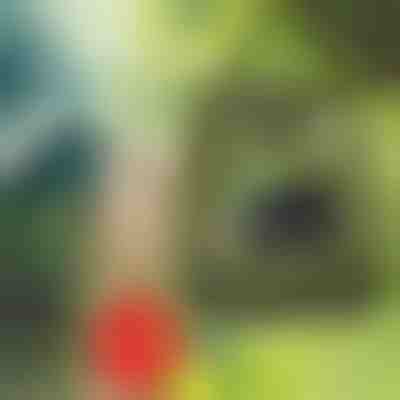 Соларен къмпинг душ с вграден термометър (20L) | SHOWDY