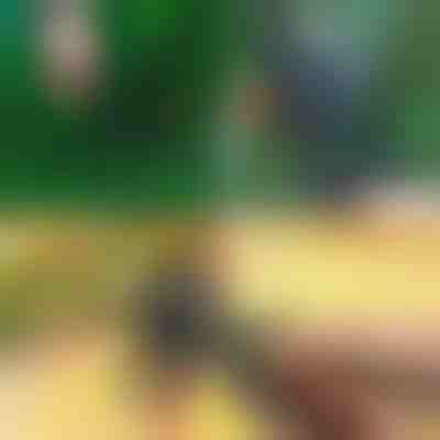 Професионални 2-в-1 ножици за подрязване и присаждане | MASTERCUT