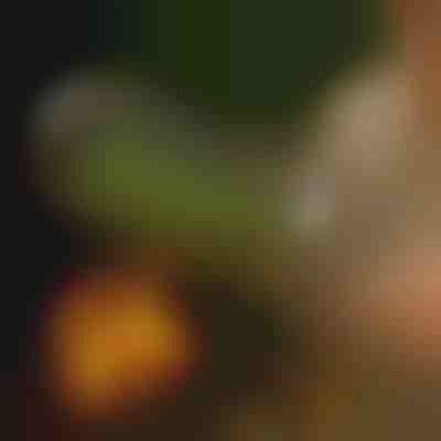 Въртяща се кошница за скара | ROLOGRILL