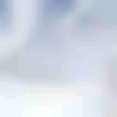 Магнитно покривало за предно стъкло | FROSTCOVER