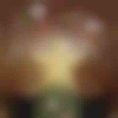 Проектор за връх на коледно дърво | FLAKELITE