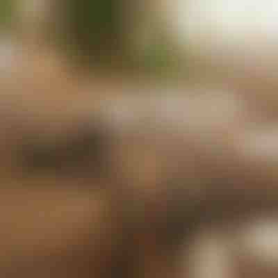 Магнитен самозалепващ се органайзер за кабели (12 броя) | CABLIP